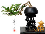 Penjing