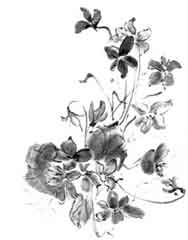 Poesía clásica china