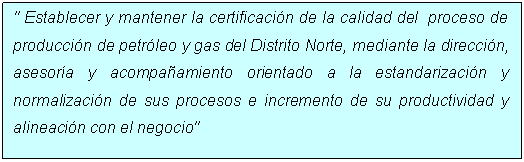 Text Box: " Establecer y mantener la certificacin de la calidad del  proceso de produccin de petrleo y gas del Distrito Norte, mediante la direccin, asesora y acompaamiento orientado a la estandarizacin y normalizacin de sus procesos e incremento de su productividad y alineacin con el negocio" 

