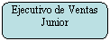 Rectngulo redondeado: Ejecutivo de Ventas Junior

