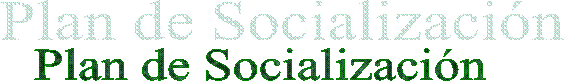 Plan de Socializacin