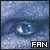 Saphira Fan