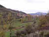 Llombera50.jpg (110809 bytes)