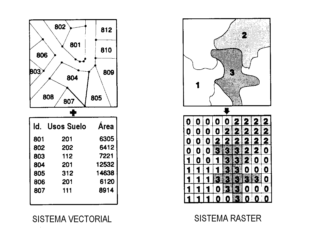Sistema Raster Morfometria_II