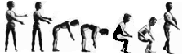 cuerpos.GIF (4103 bytes)