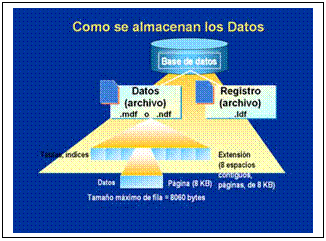 Cuadro de texto:  