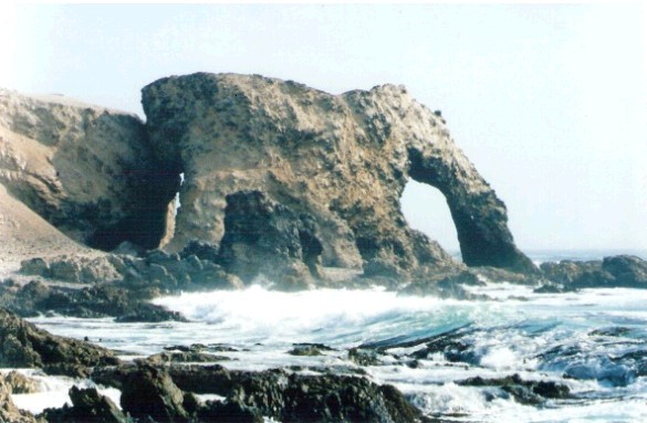 EL ELEFANTE DE MARCONA