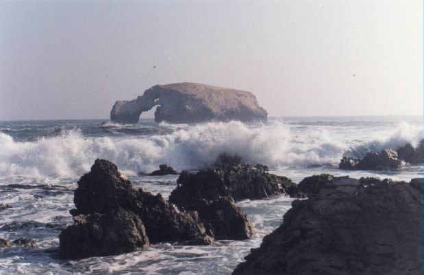 LA TORTUGA