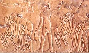 Escena agrcola