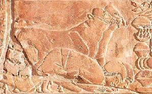 Una serie de ofrendas de objetos y animales llevadas al rey Amenhotep III