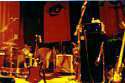THE CONCERT1
