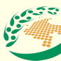 Imagen institucional del Proyecto DFID Colombia.