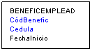 Cuadro de texto: BENEFICEMPLEAD
CdBenefic
Cedula
FechaInicio
 
