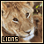 Lions HIATUS