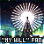 My Will FL