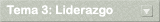 Modelo de liderazgo del Empowerment