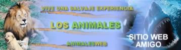 Lo mejor sobre los animales