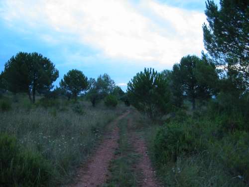Cami del Pla. Jordi Sanarau