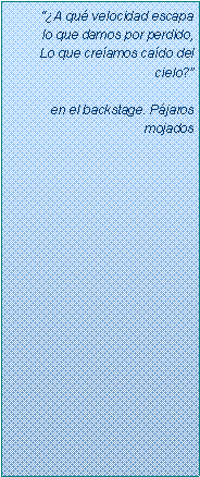 Text Box: ��A qu� velocidad escapa lo que damos por perdido,Lo que cre�amos ca�do del cielo?�en el backstage. P�jaros mojados
