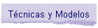 Tcnicas y Modelos