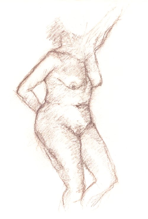 torso1.jpg