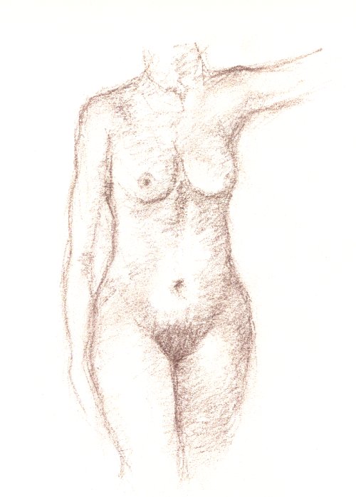 torso2.jpg