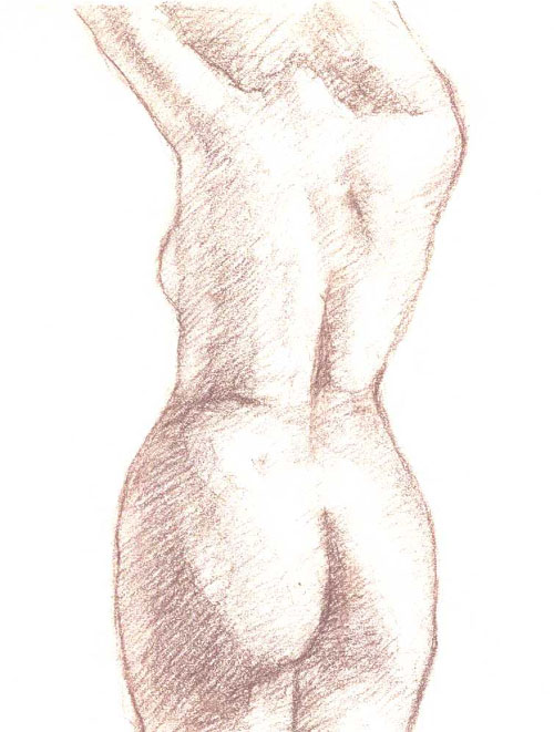 torso6.jpg