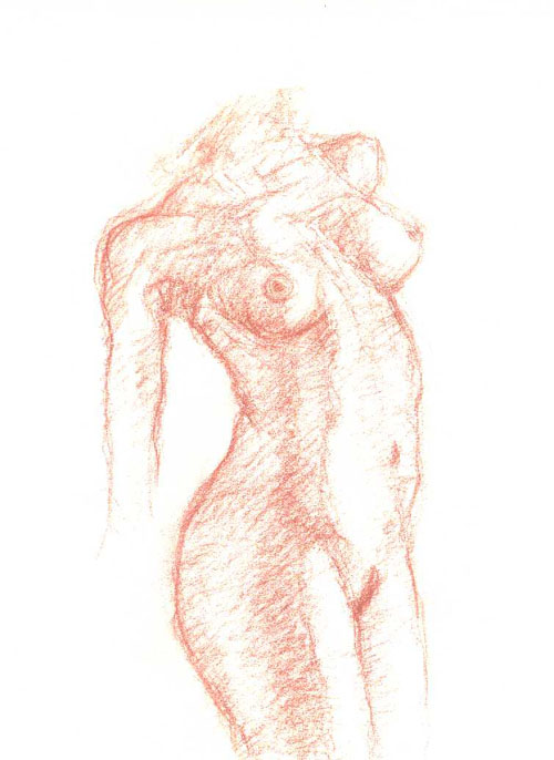 torso7.jpg