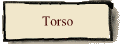 Torso