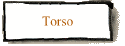 Torso