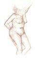torso1.jpg