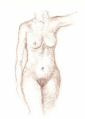 torso2.jpg