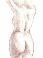 torso6.jpg