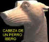 Cabeza de perro bero.  Es identica a la de un PDAE, solo que aparece  rasurada por ceremonia de luto.