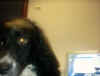 IMAGE0003.JPG.JPG (80372 bytes)