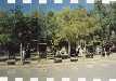La plaza