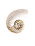 Indice / Menú principal