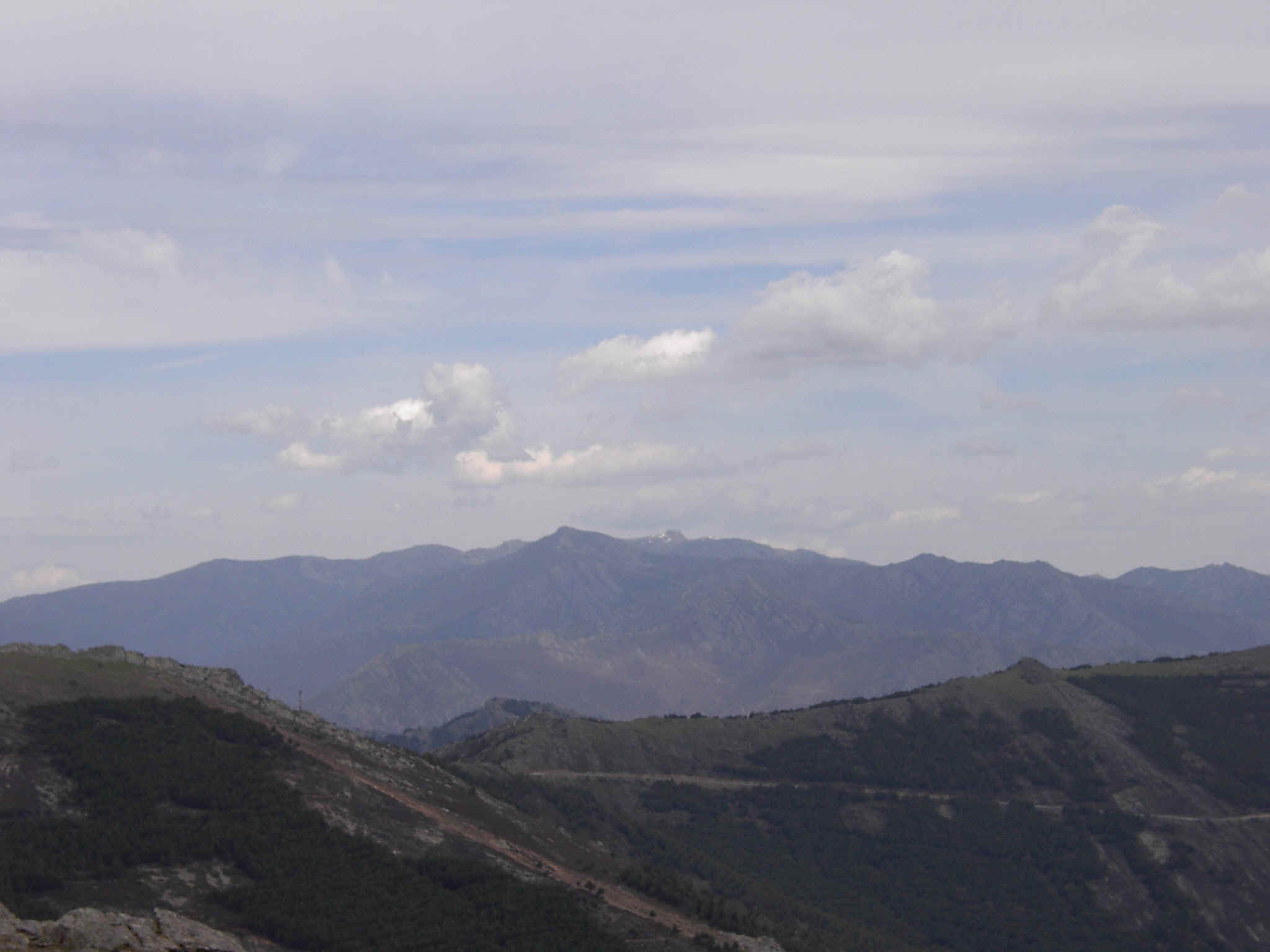 52.jpg (118662 bytes)