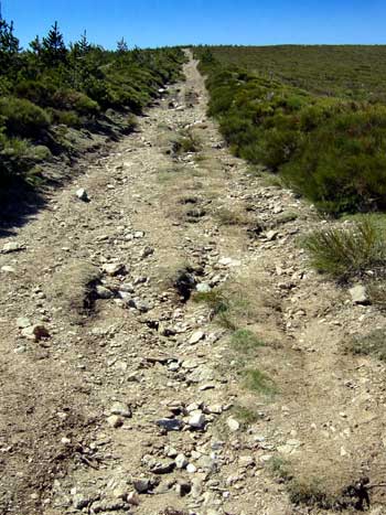 cortafuegos.jpg (40766 bytes)