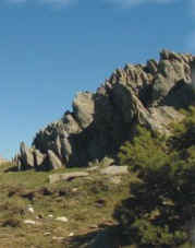pico7.jpg (5639 bytes)
