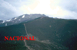 picolobo03.gif (15624 bytes)