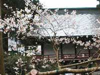 Engaku-ji