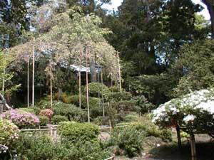 Engaku-ji