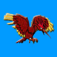 Pokmon Fearow