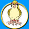 Pokmon Pidgeot