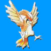 Pokmon Pidgeotto