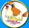 Pokmon Pidgey