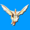 Pokmon Pidgey