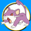 Pokmon Rattata