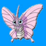 Pokmon Venomoth